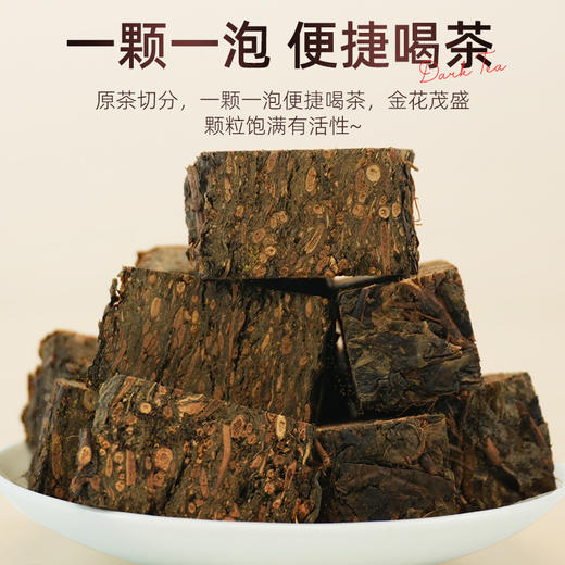 茶马世家湖南安化黑茶正品2013年散装茯砖颗粒200g 商品图7