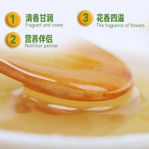 【新北方优选独家】无添加 纯正天然 槐花蜂蜜500g/瓶 商品图3