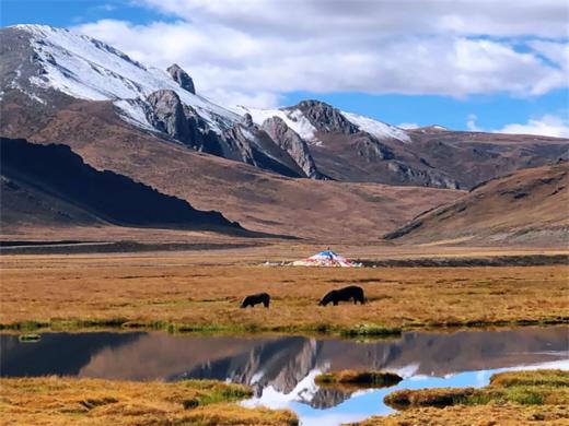 【大美山野·三江源】  探秘三江源+青藏中线+藏东雪山冰川盛宴·越野之旅 商品图7