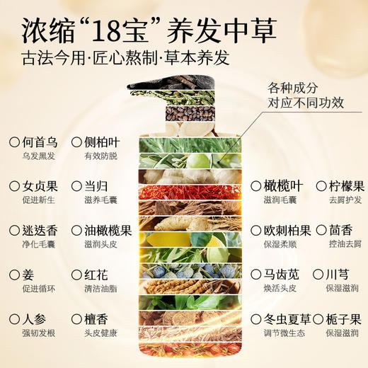 【新品上市】初夏堂十八宝去屑控油防脱洗发水 十八种中草药成分 植萃养护发根 固发防脱 商品图2