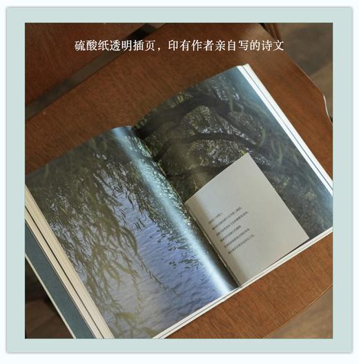 决定 卞雅纯摄影作品集 商品图3