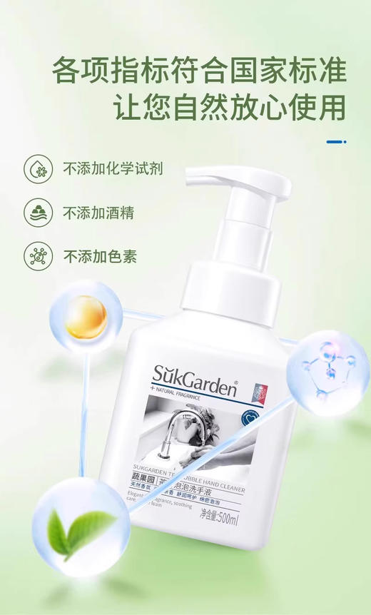 蔬果园茶香泡泡洗手液（1+1特惠装）500ml*2 商品图1