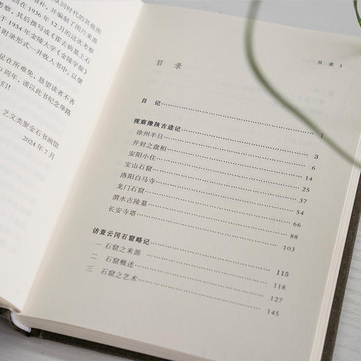 征途访古述记 商品图2