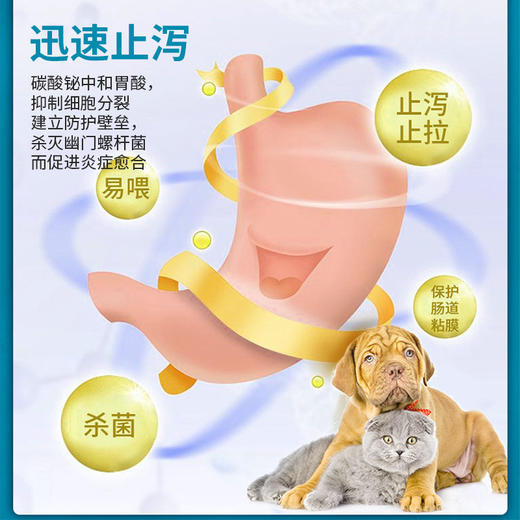 合宠碱式碳酸铋片强力止泻片宠物狗狗猫肠胃炎软便腹泻拉稀便血 商品图2