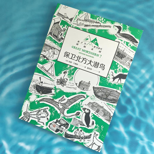 保卫北方大潜鸟（英国儿童探险小说！无数渴望冒险、痴迷想象世界的孩子和大人都因它而扬起心帆！） 商品图1