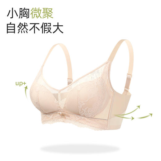 【商场同款】熳洁儿 柔心杯小胸聚拢无钢圈内衣性感蕾丝收副乳23201506 商品图1