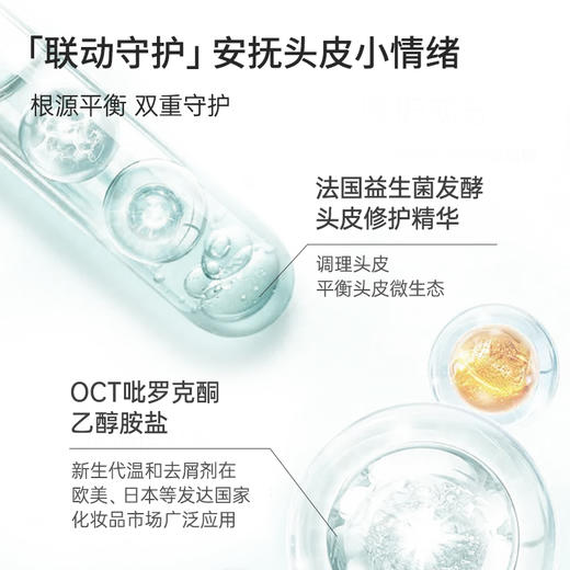 赋强防脱净屑洗发露450ml（清爽型） 商品图2
