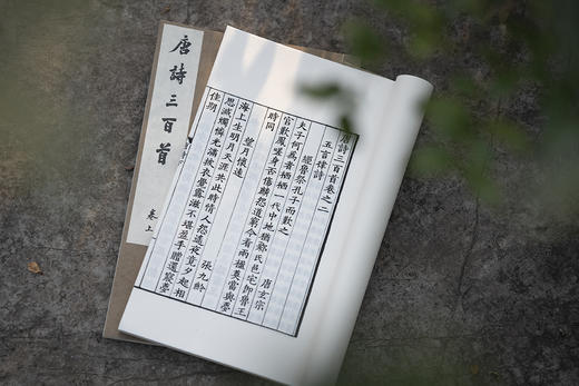 新书推荐 — 《唐诗三百首》 商品图6