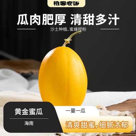 黄金蜜瓜丨刚收到脆嫩爽滑，放几天后香甜软糯多汁，自然清甜汁水 商品图0