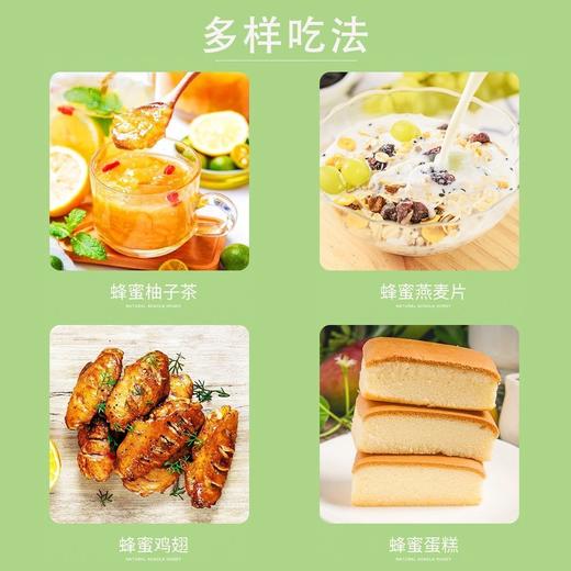 【新北方优选独家】无添加 纯正天然 槐花蜂蜜500g/瓶 商品图5