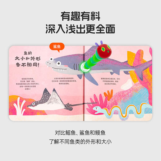 【小七老师】小彼恩出品   鸟和鱼儿童自然科普绘本 套装2册 点读版 商品图4