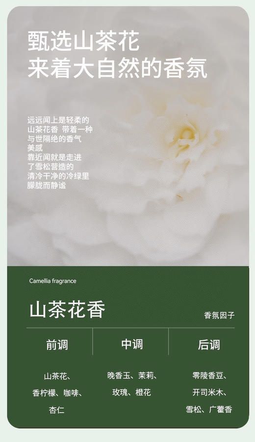 洗衣机清洁剂2桶（h锁 商品图1