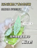 【限定礼盒】伊丽莎白雅顿绿茶香型身体乳500ml+沐浴露500ml礼盒身体霜香水白茶套 商品缩略图3