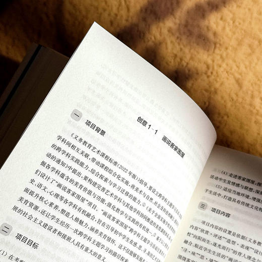 跨学科学习创意设计 中小学案例 课程治理现代化丛书 商品图10