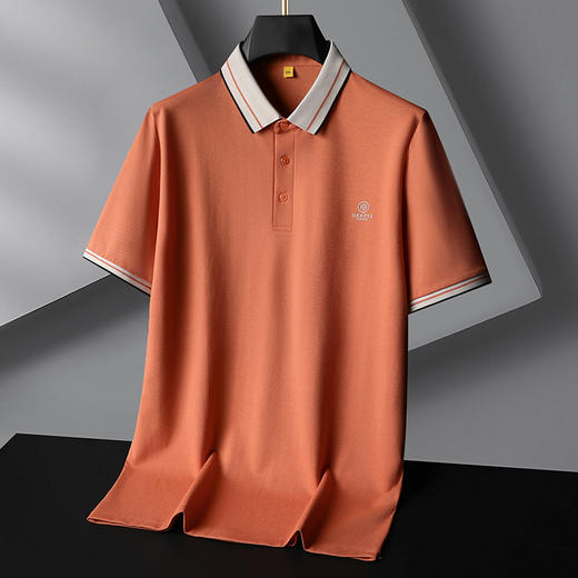 【桑蚕丝】【DG】大依优型大码短袖polo衫高端休闲桑蚕丝夏季轻奢男装加大码T恤胖子 商品图10