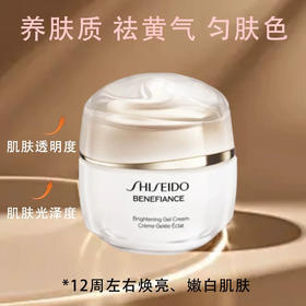 资生堂盼丽风姿透白淡斑霜