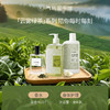 【茶香调香水】气味图书馆淡香水云雾绿茶香型50ml 商品缩略图3