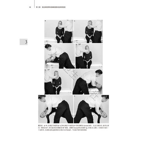 眩晕和头晕 常见疾病 第3三版 潘永惠 编 前庭外周中枢和功能性疾病的诊断和目前的治疗方法罕见的前庭神经综合征 人民卫生出版社 商品图4