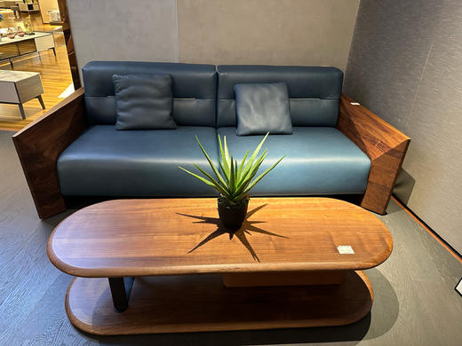 三人位沙发/F816-212 商品图0