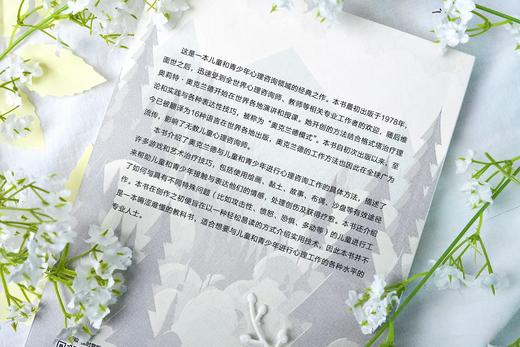 万千心理·开启孩子心灵的窗户：儿童和青少年心理咨询 商品图4