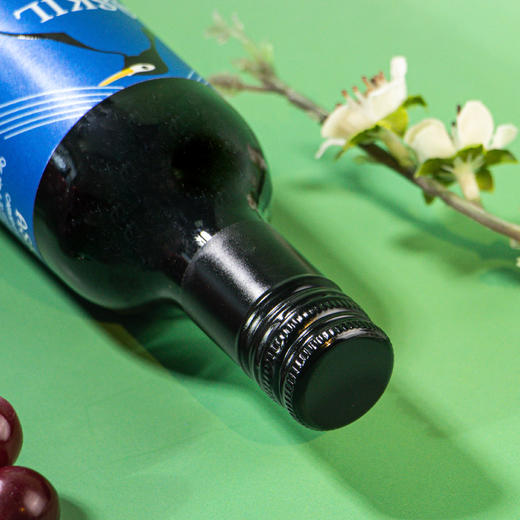 爱丝姬佳美娜半干红葡萄酒（6支装） 商品图2