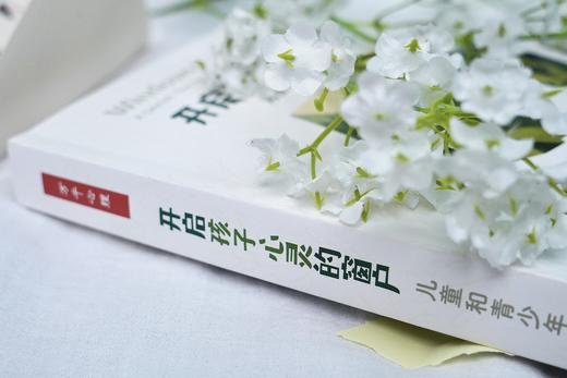 万千心理·开启孩子心灵的窗户：儿童和青少年心理咨询 商品图2