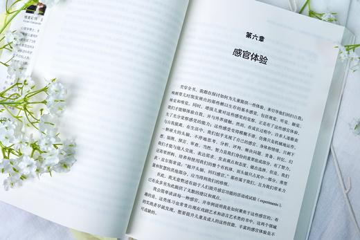 万千心理·开启孩子心灵的窗户：儿童和青少年心理咨询 商品图5