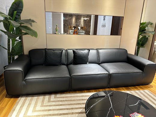 XJ-S9533沙发 商品图2