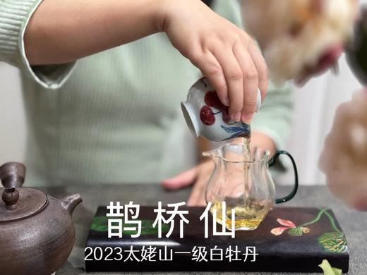 【春茶品鉴会】2023一级白牡丹《鹊桥仙》，馨香盈杯，清润润的汤感素雅洁净，仿若天山冰泉 商品图7