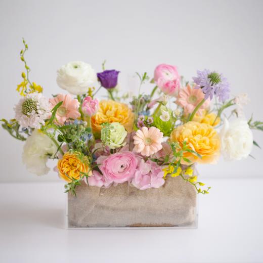 2025新版「四季 · 春」春心烂漫花盒 商品图1