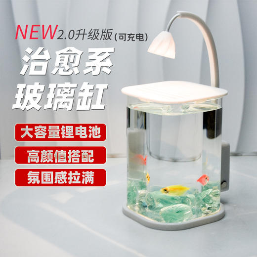 【新款斗鱼专用缸，高透玻璃桌面鱼缸】斗鱼专用缸 高透小型 懒人造景玻璃 桌面专用鱼缸 宿舍小夜灯 网红礼物-QQ 商品图0