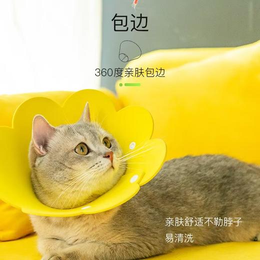 EVA太阳花伊丽莎白猫咪宠物项圈【M码 20-24适合2-6斤】 商品图1
