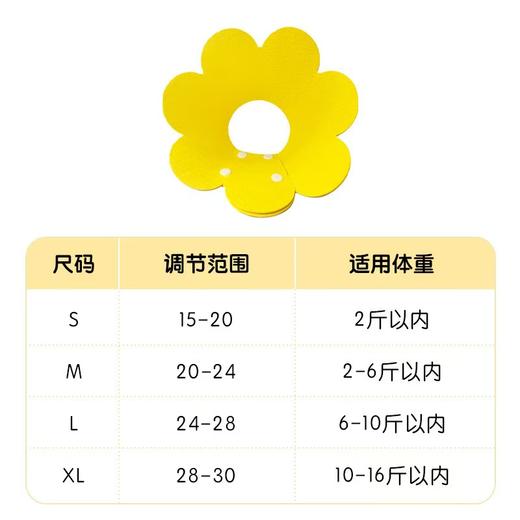 EVA太阳花伊丽莎白猫咪宠物项圈【M码 20-24适合2-6斤】 商品图4