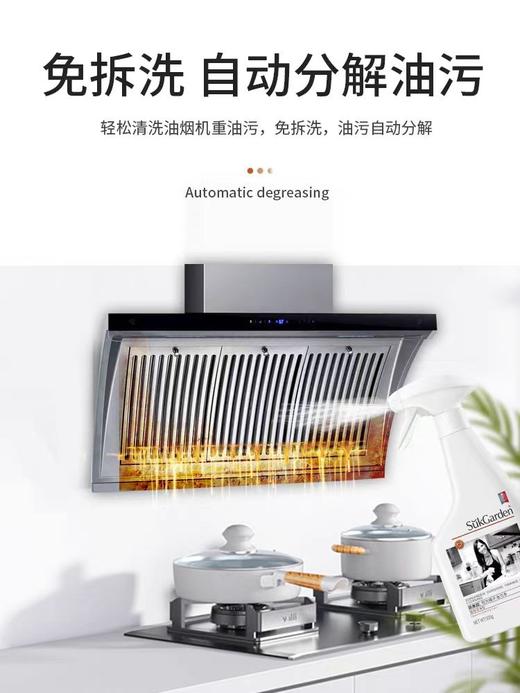 蔬果园阳光橘子油污净500g 商品图2