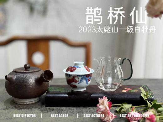 【春茶品鉴会】2023一级白牡丹《鹊桥仙》，馨香盈杯，清润润的汤感素雅洁净，仿若天山冰泉 商品图11