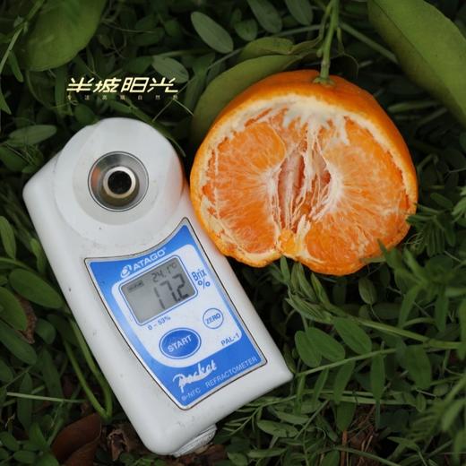 【顺丰快递】半坡阳光·春见耙耙柑🍊 只做真正春天到来的自然成熟耙耙柑 - ABPYG 商品图7