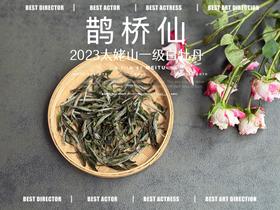 【春茶品鉴会】2023一级白牡丹《鹊桥仙》，馨香盈杯，清润润的汤感素雅洁净，仿若天山冰泉