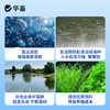 华畜硅藻颗粒水产养殖增氧培藻鱼塘虾蟹池塘用低温肥水藻种稳定剂 商品缩略图3