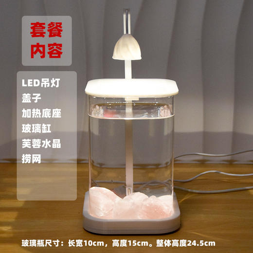 【恒温加热！高透玻璃！】鱼专用缸 高透小型 懒人造景 玻璃桌面专用鱼缸 恒温加热鱼缸 网红礼物-QQ 商品图11
