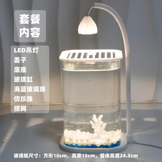 【新款斗鱼专用缸，高透玻璃桌面鱼缸】斗鱼专用缸 高透小型 懒人造景玻璃 桌面专用鱼缸 宿舍小夜灯 网红礼物-QQ 商品图13