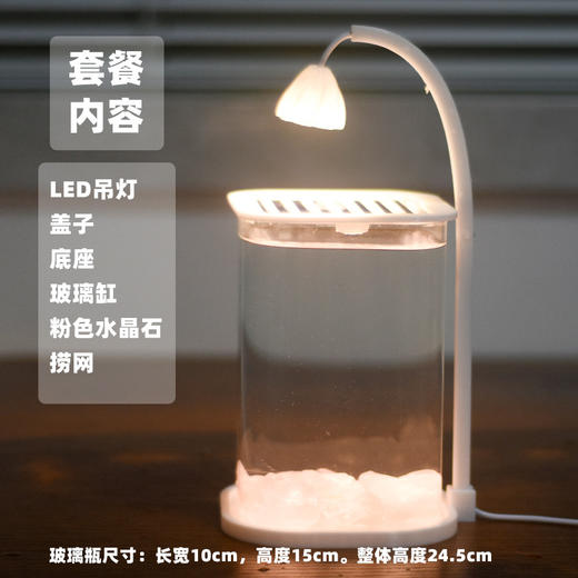 【新款斗鱼专用缸，高透玻璃桌面鱼缸】斗鱼专用缸 高透小型 懒人造景玻璃 桌面专用鱼缸 宿舍小夜灯 网红礼物-QQ 商品图8