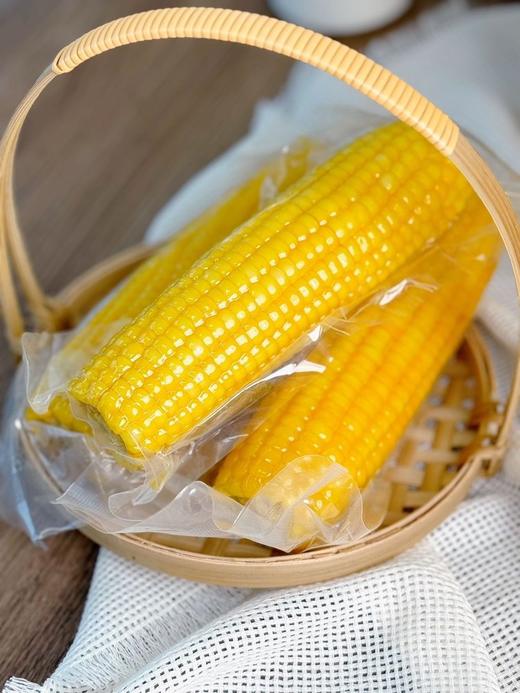 寒地有机糯玉米 商品图5