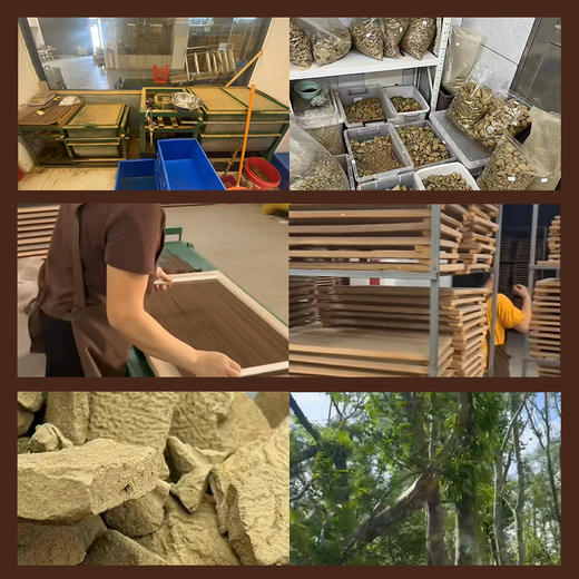 【7天发货】【娘娘甄选】 | 海南蜜糖沉香【赠黄铜香插】·天然线香10克·约60支·92%沉水沉香粉8%粘粉·本品不参与满赠满减 商品图6