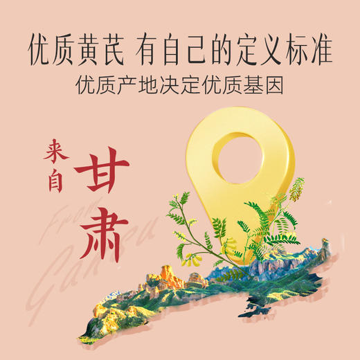 【官方正品】云南白药有这一方黄芪甘肃原产道地滋补气片大味浓泡水搭枸杞西洋参枸杞 商品图2
