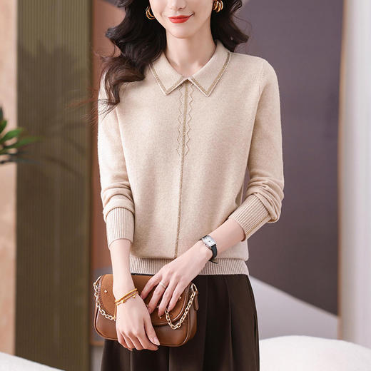 CC-101-56735娃娃翻领针织衫女士2025春秋季新款洋气内搭打底显瘦上衣 商品图2