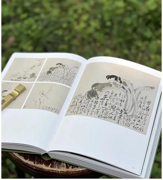 《无尽藏：苏轼的书画艺术精神》，平装，16开，南京博物院编，江苏凤凰文艺出版社2025年一版六印，页码未详，定价398，售价298.5元 商品图13