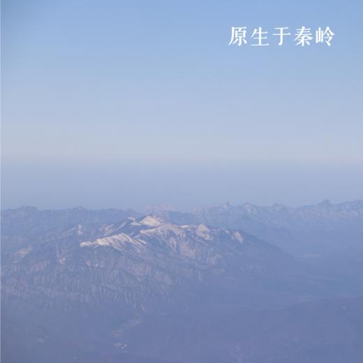 合作产品/ 2024秦岭山茱萸 商品图1