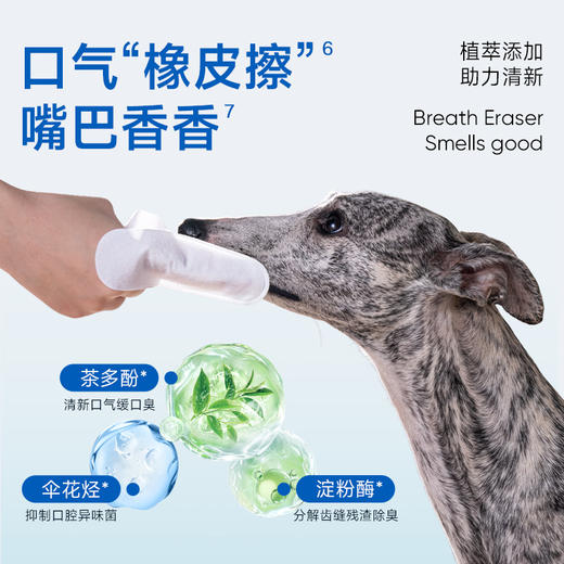 【新品上市】LORDE里兜宠物狗狗清洁牙齿猫咪口臭刷牙洁牙指套 商品图3