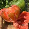 西双版纳露天草莓西红柿 商品缩略图4