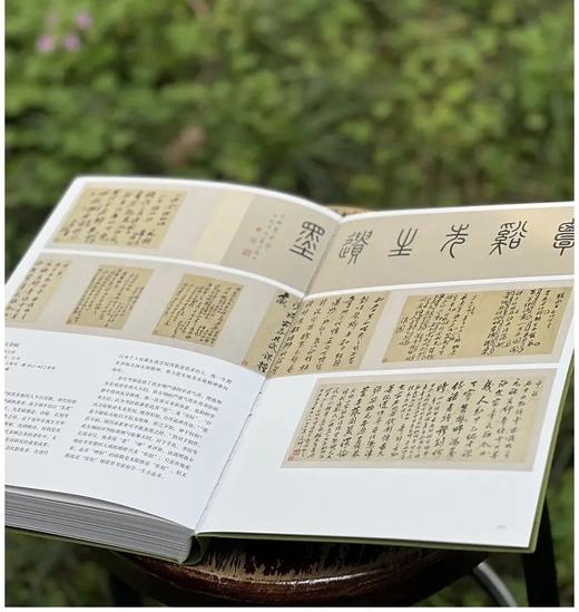 《无尽藏：苏轼的书画艺术精神》，平装，16开，南京博物院编，江苏凤凰文艺出版社2025年一版六印，页码未详，定价398，售价298.5元 商品图8